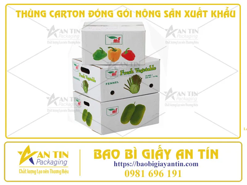 PHÂN TÍCH ƯU ĐIỂM VÀ NHƯỢC ĐIỂM CỦA THÙNG CARTON ĐÓNG GÓI NÔNG SẢN XUẤT KHẨU