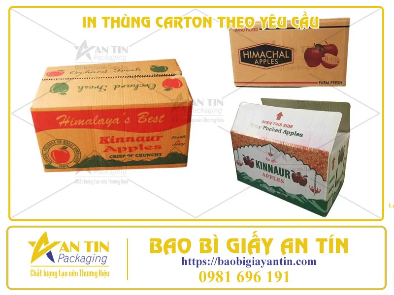 Quảng Bá Tối Ưu Khi In Thùng Carton Theo Yêu Cầu Giải Pháp Hoàn Hảo Cho Doanh Nghiệp