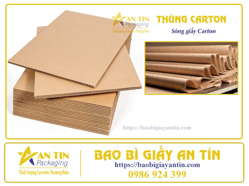 TOP 3 ĐIỀU THÚ VỊ VỀ THÙNG GIẤY CARTON