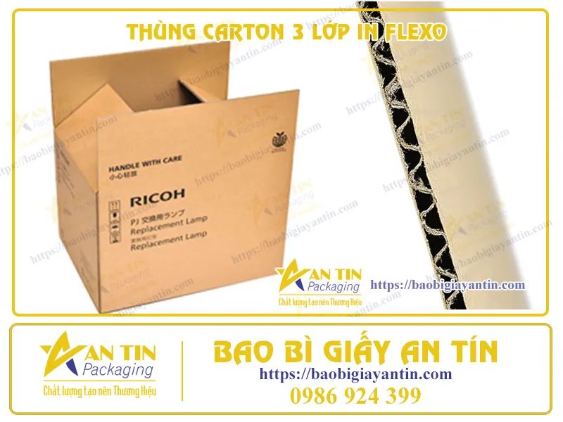 THÙNG CARTON 3 LỚP IN FLEXO: SỰ KẾT HỢP VƯỢT TRỘI VÀ TIẾT KIỆM TRONG ĐÓNG GÓI