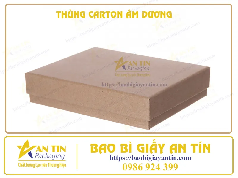 THÙNG CARTON ÂM DƯƠNG