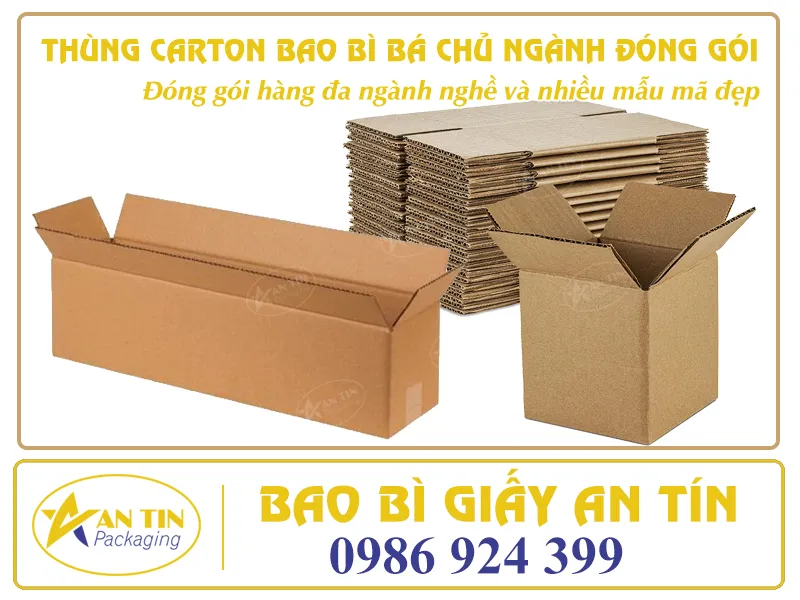 THÙNG CARTON BAO BÌ BÁ CHỦ NGÀNH ĐÓNG GÓI