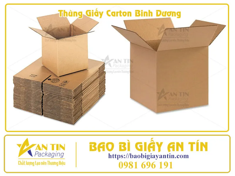 Thùng Carton Bình Dương Giải pháp bao bì toàn diện, dẫn đầu thị trường 2025