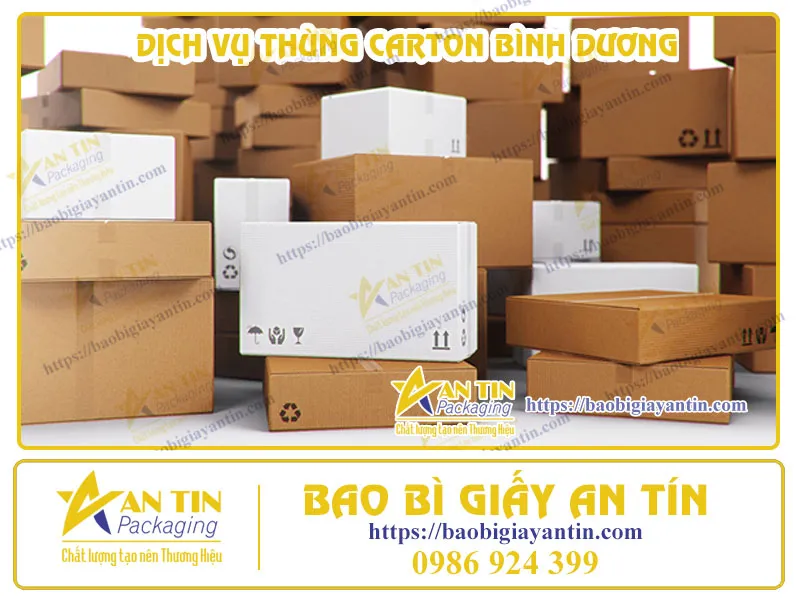 THÙNG CARTON ĐA DẠNG - DỊCH VỤ TẬN TÂM TẠI BÌNH DƯƠNG: ĐÁP ỨNG MỌI NHU CẦU ĐÓNG GÓI CỦA BẠN!