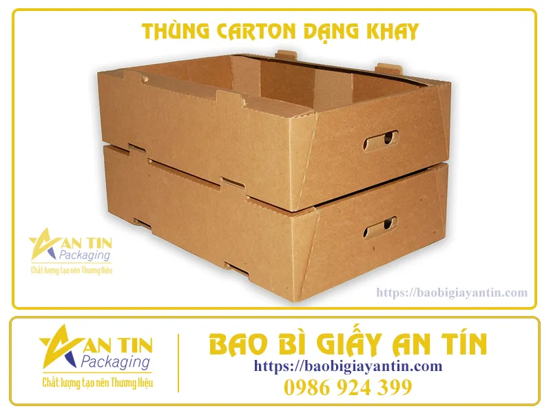 GIẢI PHÁP ĐÓNG GÓI TRÁI CÂY HIỆU QUẢ VỚI THÙNG CARTON DẠNG KHAY