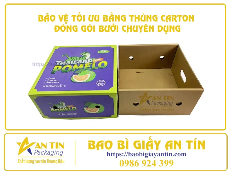 BẢO VỆ TỐI ƯU BẰNG THÙNG CARTON ĐÓNG GÓI BƯỞI CHUYÊN DỤNG
