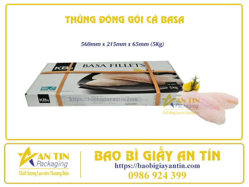 TỔNG QUAN TỪ A - Z ĐỂ LỰA CHỌN THÙNG ĐÓNG GÓI CÁ BASA ĐẠT CHUẨN