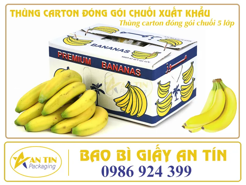 TÌM THÙNG ĐÓNG GÓI CHUỐI ĐÂU XA - CÓ NGAY ĐÂY AN TÍN