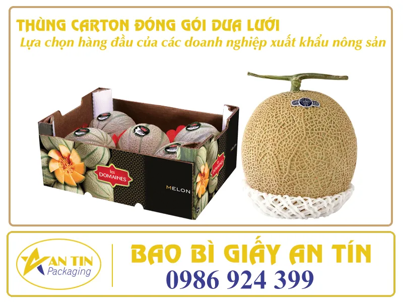 ĐẶT MUA THÙNG CARTON ĐÓNG GÓI DƯA LƯỚI XUẤT KHẨU