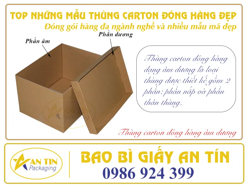 TOP NHỮNG MẪU THÙNG CARTON ĐÓNG HÀNG ĐẸP