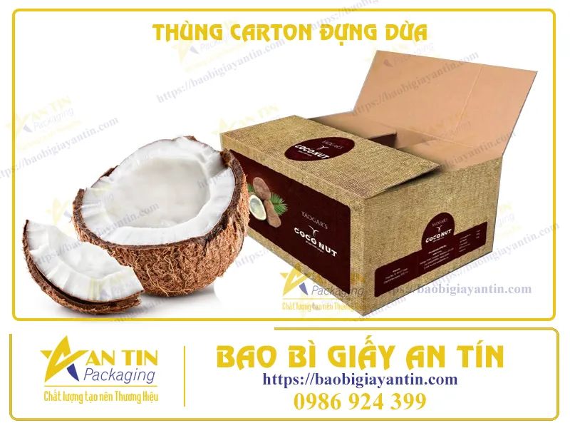 THÙNG CARTON ĐỰNG DỪA: BẢO VỆ DỪA NGON NHƯNG KHÔNG THỂ GIẤU ĐƯỢC SỰ 'CÓ DUYÊN'!