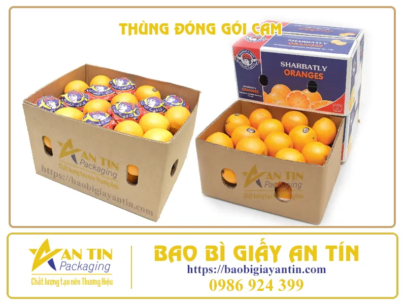 TÌM HIỂU NHỮNG TIÊU CHUẨN CỦA THÙNG ĐÓNG GÓI CAM XUẤT KHẨU