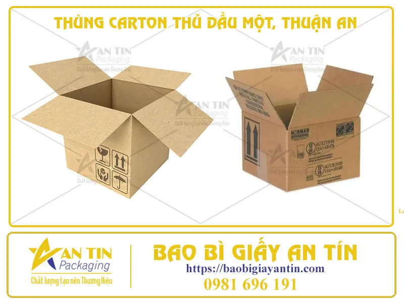 THÙNG CARTON THỦ DẦU MỘT, THUẬN AN - IN ẤN THEO YÊU CẦU, GIAO HÀNG TẬN NƠI