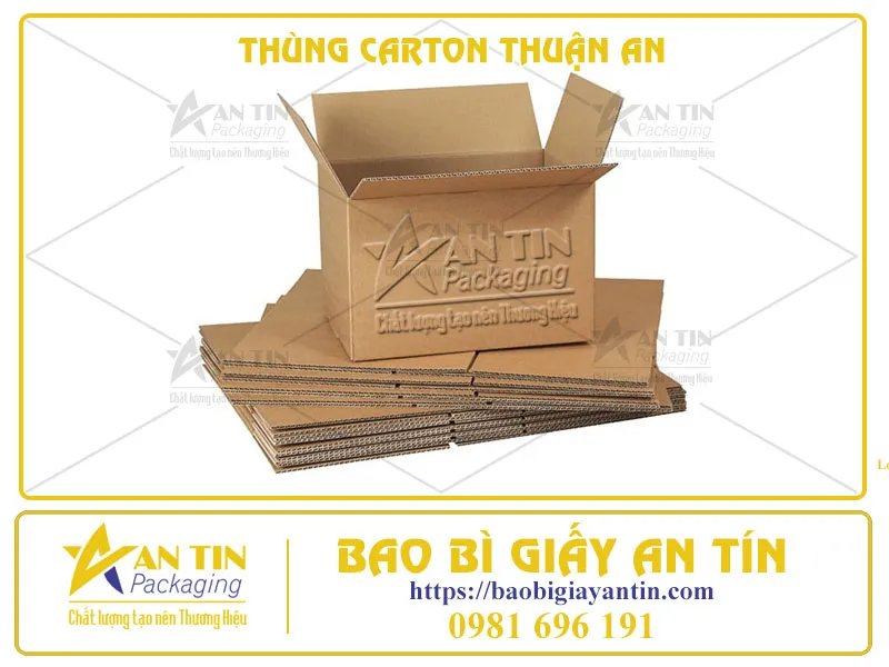 THÙNG CARTON THUẬN AN: ĐỐI TÁC ĐÁNG TIN CẬY CHO DOANH NHIỆP