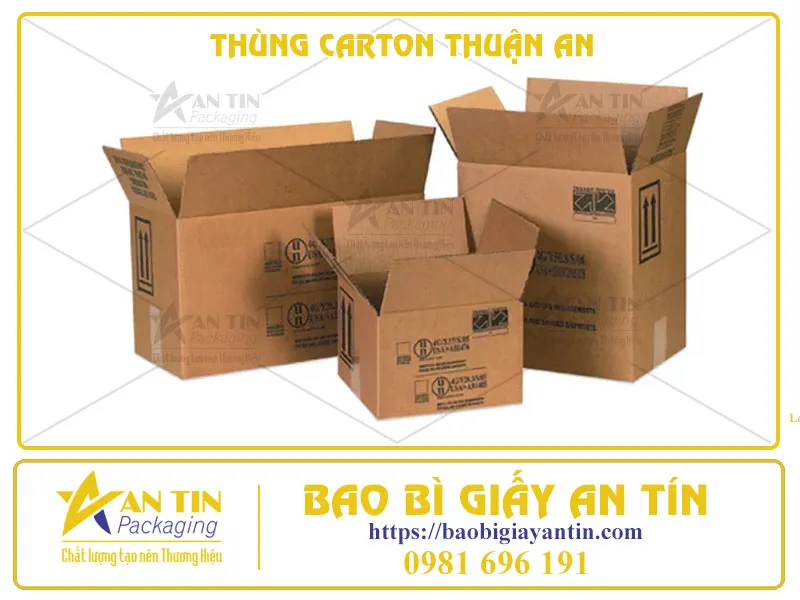 THÙNG CARTON THUẬN AN - ĐÓN ĐẦU XU HƯỚNG NĂM 2024, NÂNG TẦM ĐẲNG CẤP THƯƠNG HIỆU