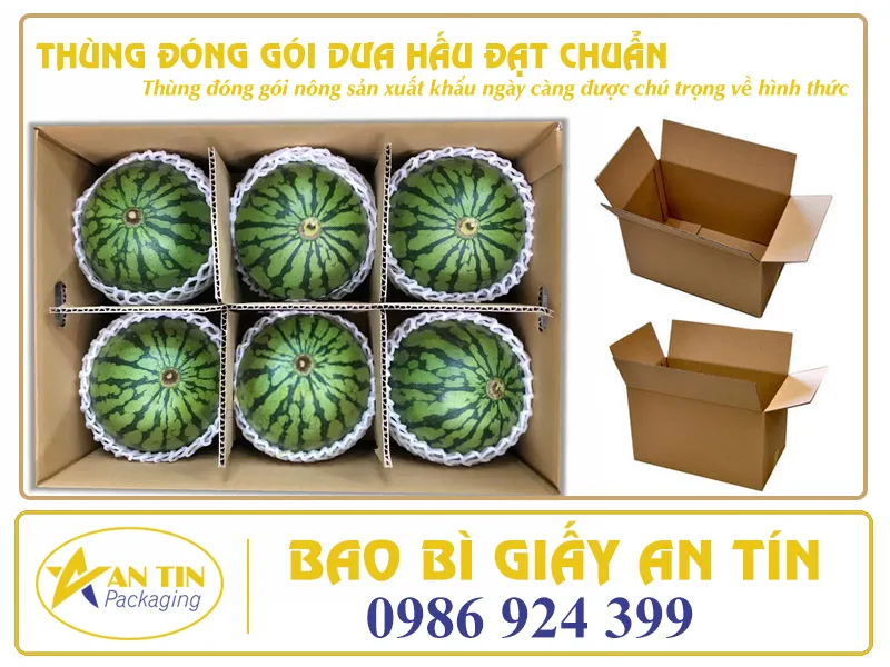 THẾ NÀO LÀ THÙNG ĐÓNG GÓI DƯA HẤU ĐẠT CHUẨN