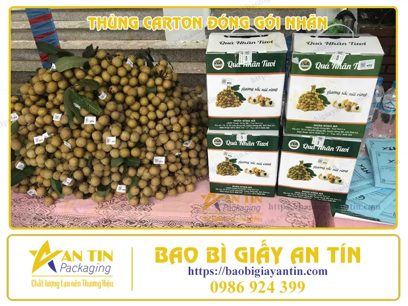 THÙNG CARTON ĐÓNG GÓI NHÃN - GIẢM THIỂU TỐI ĐA RỦI RO VÀ BẢO VỆ SẢN PHẨM