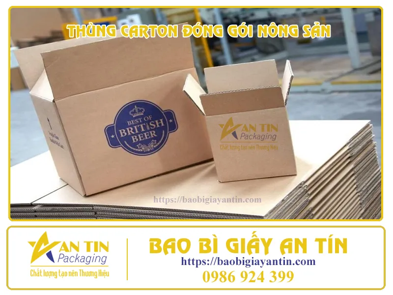 MANG NÔNG SẢN VIỆT VƯƠN XA CÙNG THÙNG CARTON ĐÓNG GÓI NÔNG SẢN XUẤT KHẨU