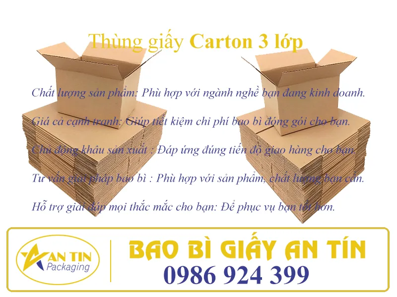 THÙNG GIẤY CARTON 3 LỚP