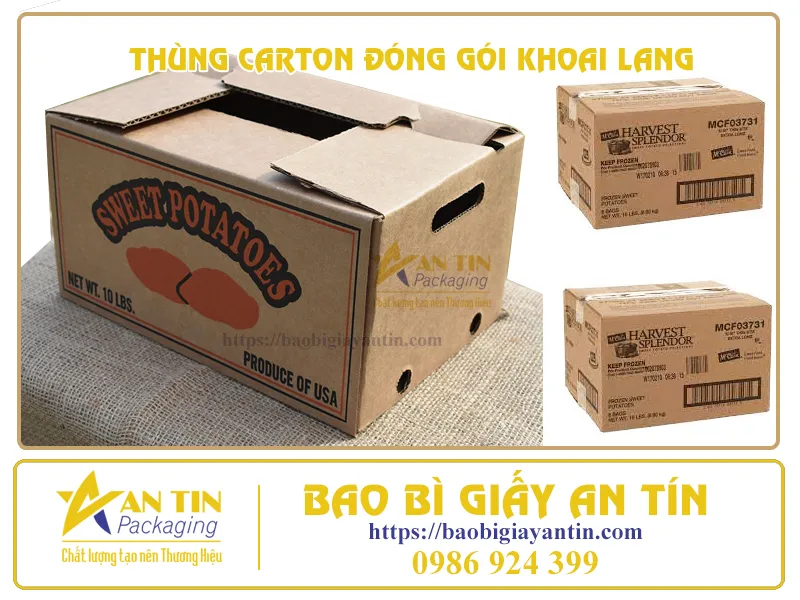 TOP 4 TIÊU CHÍ CỦA THÙNG ĐÓNG GÓI KHOAI LANG CHẤT LƯỢNG