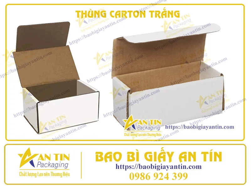 THÙNG CARTON TRẮNG - VEDETTE TRONG LÀNG BAO BÌ ĐÓNG GÓI