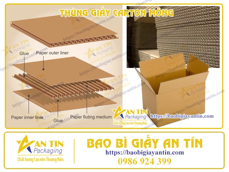 THÙNG GIẤY CARTON MỎNG LÀ GÌ? NHỮNG MẪU THÙNG CARTON MỎNG PHỔ BIẾN