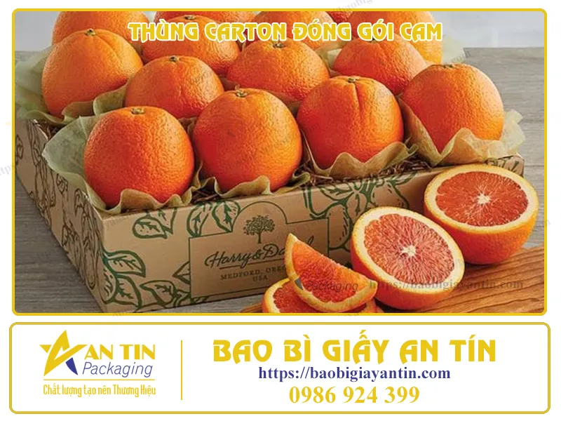 ĐIỂM QUA 5 ĐẶC TÍNH QUAN TRỌNG CỦA THÙNG CARTON ĐỰNG CAM