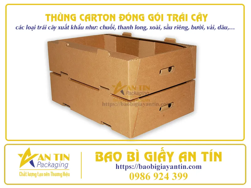CÁCH LỰA CHỌN THÙNG CARTON ĐÓNG GÓI TRÁI CÂY CHUẨN NHẤT