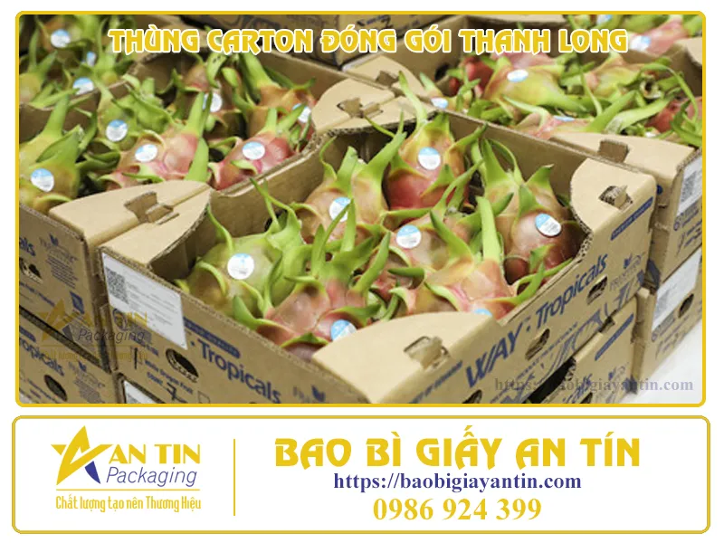 LỢI ÍCH KHI ĐẶT MUA THÙNG CARTON ĐÓNG GÓI THANH LONG TẠI BAO BÌ AN TÍN
