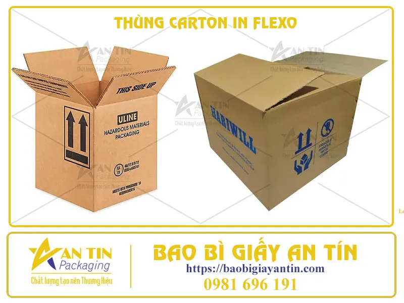 Tiết Kiệm Chi Phí, Tối Ưu Hiệu Quả Với Thùng Carton In Flexo