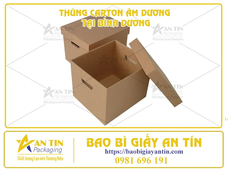 TIẾT KIỆM CHI PHÍ ĐÓNG GÓI VỚI BÁO GIÁ THÙNG CARTON ÂM DƯƠNG TẠI BÌNH DƯƠNG