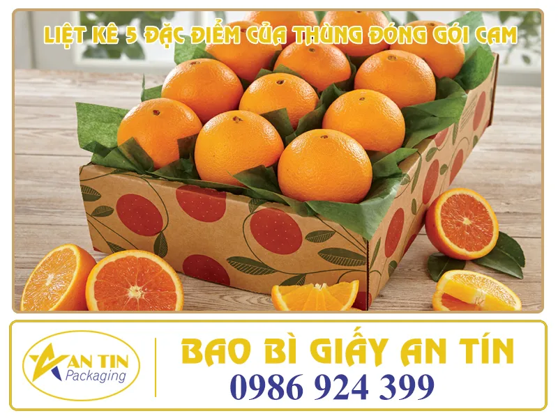 LIỆT KÊ 5 ĐẶC ĐIỂM CỦA THÙNG ĐÓNG GÓI CAM