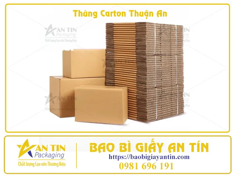 Xưởng làm thùng carton Thuận An Lựa chọn tối ưu cho mọi doanh nghiệp