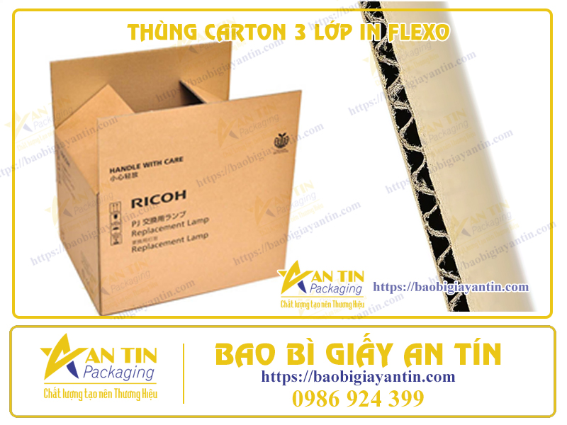 Thùng Carton 3 Lớp In Flexo: Sự Kết Hợp Vượt Trội Và Tiết Kiệm Trong Đóng Gói