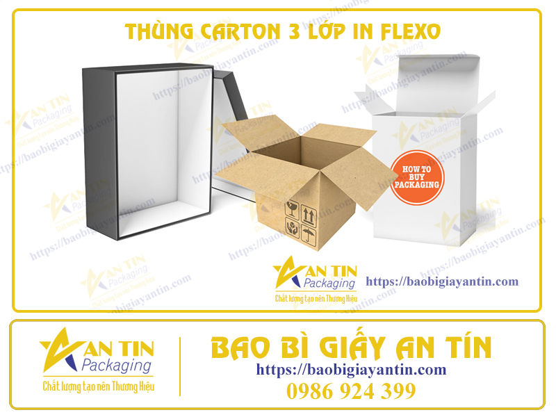 Thùng Carton 3 Lớp In Flexo: Sự Kết Hợp Vượt Trội Và Tiết Kiệm Trong Đóng Gói