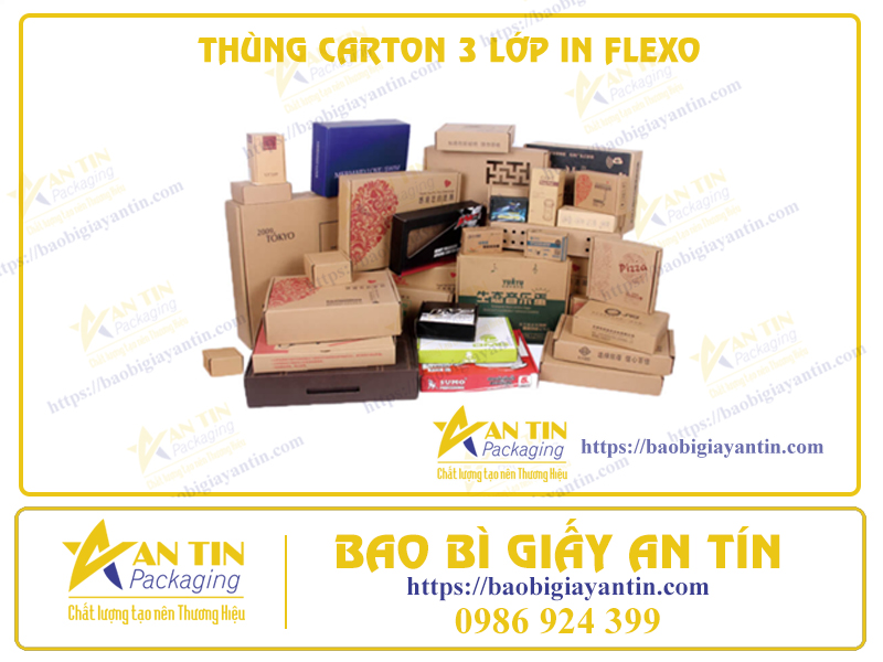 Thùng Carton 3 Lớp In Flexo: Sự Kết Hợp Vượt Trội Và Tiết Kiệm Trong Đóng Gói