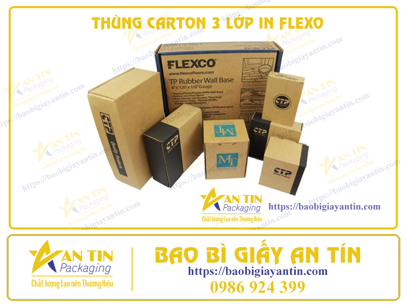 Thùng Carton 3 Lớp In Flexo: Sự Kết Hợp Vượt Trội Và Tiết Kiệm Trong Đóng Gói