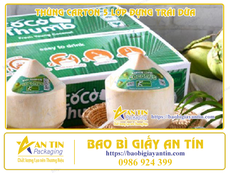 Thùng Carton 5 Lớp Đựng Trái Dừa: Sự Lựa Chọn Tối Ưu Để Bảo Vệ Sản Phẩm Khỏi Hư Hỏng