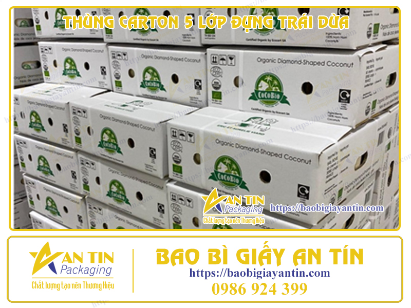 Thùng Carton 5 Lớp Đựng Trái Dừa: Sự Lựa Chọn Tối Ưu Để Bảo Vệ Sản Phẩm Khỏi Hư Hỏng