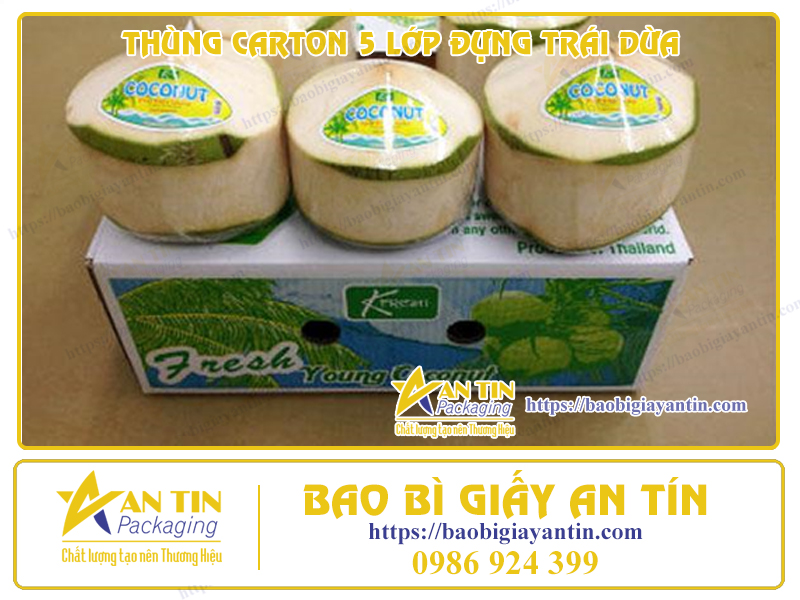 Thùng Carton 5 Lớp Đựng Trái Dừa: Sự Lựa Chọn Tối Ưu Để Bảo Vệ Sản Phẩm Khỏi Hư Hỏng