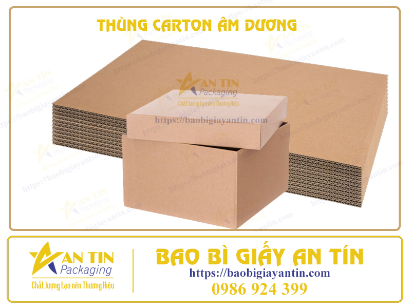 Thùng carton âm dương An Tín