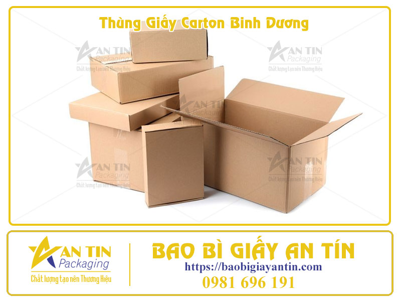 Thùng Carton Bình Dương Giải pháp bao bì toàn diện, dẫn đầu thị trường 2025 Thùng Carton Bình Dương Giải pháp bao bì toàn diện, dẫn đầu thị trường 2025