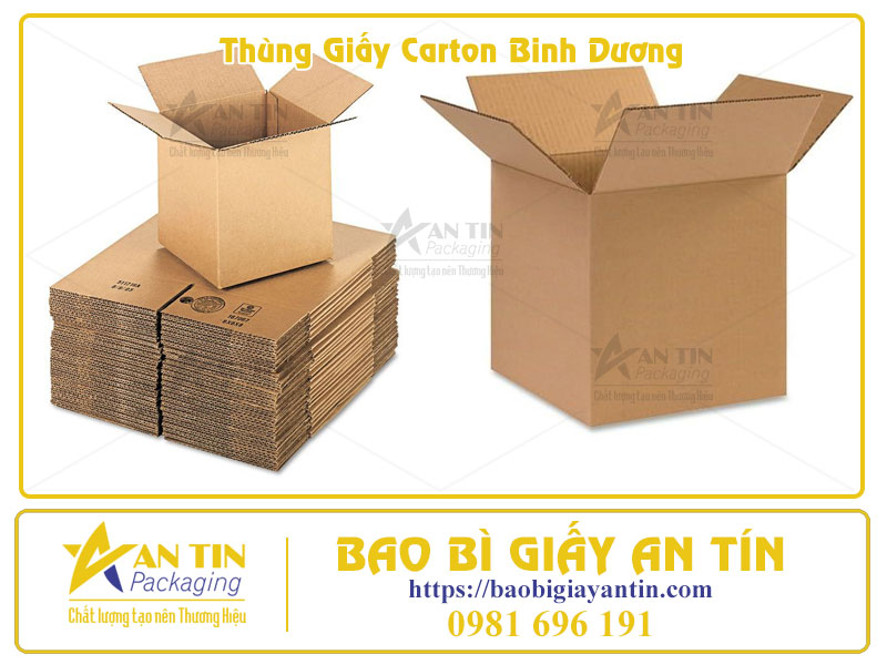 Thùng Carton Bình Dương Giải pháp bao bì toàn diện, dẫn đầu thị trường 2025 Thùng Carton Bình Dương Giải pháp bao bì toàn diện, dẫn đầu thị trường 2025