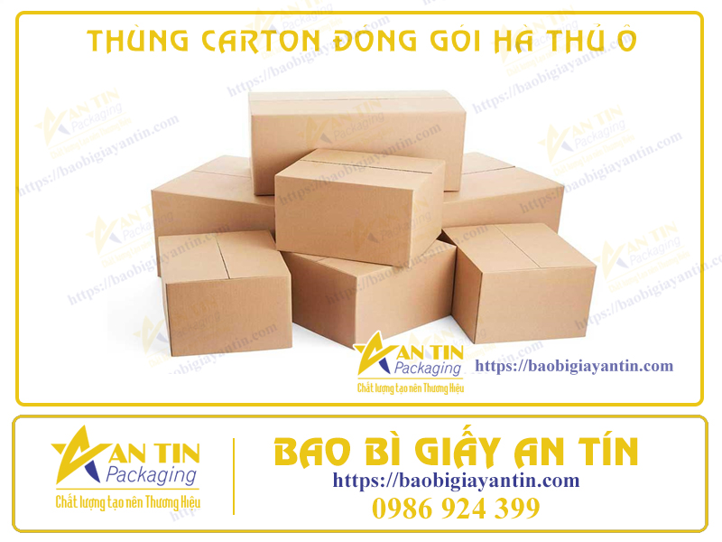 Thùng Carton Chuyên Dụng Đóng Gói Hà Thủ Ô: Tiện Lợi Và An Toàn Trong Vận Chuyển