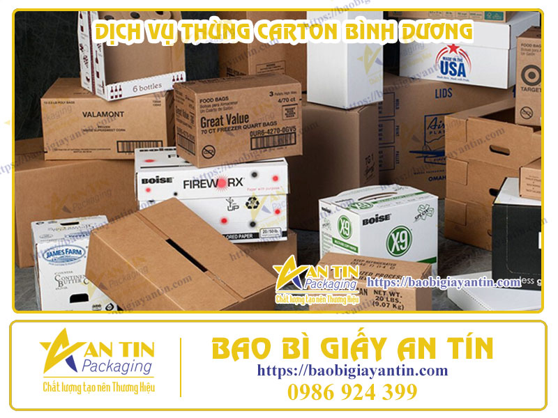 Thùng Carton Đa Dạng - Dịch Vụ Tận Tâm Tại Bình Dương: Đáp Ứng Mọi Nhu Cầu Đóng Gói Của Bạn