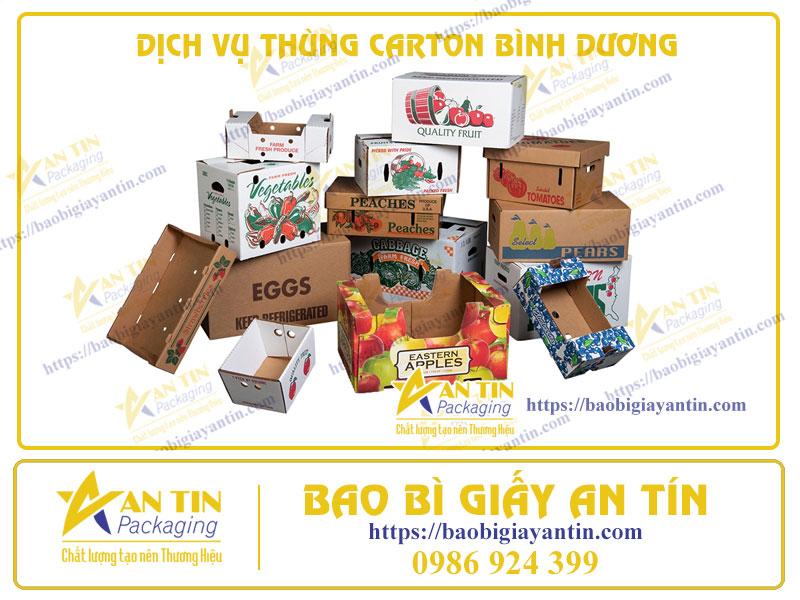 Thùng Carton Đa Dạng - Dịch Vụ Tận Tâm Tại Bình Dương: Đáp Ứng Mọi Nhu Cầu Đóng Gói Của Bạn