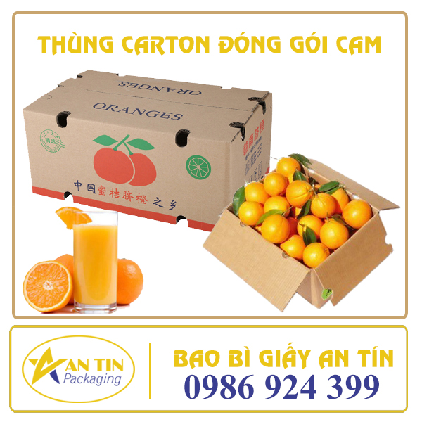 Thùng carton đóng gói cam Thùng carton đóng gói cam