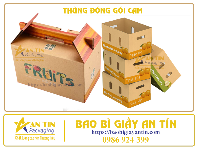 Thùng carton đóng gói cam xuất khẩu chất lượng