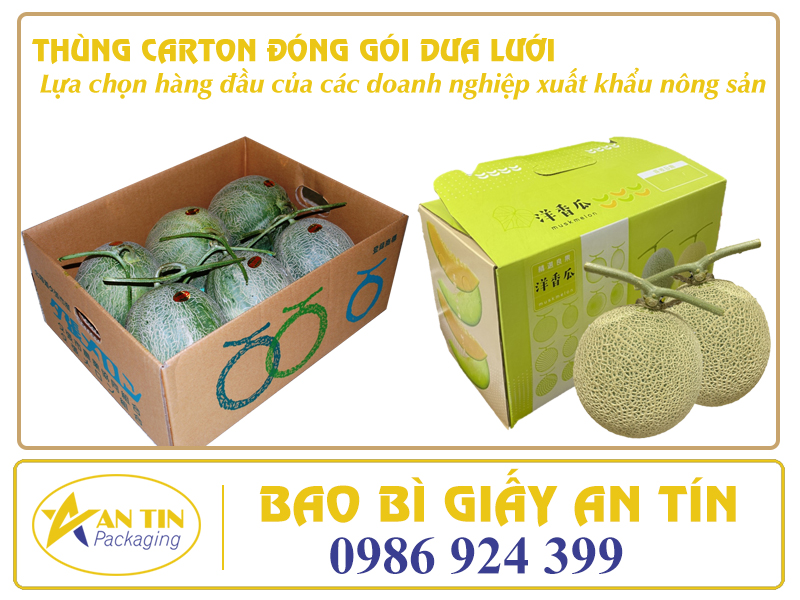 Thùng carton đóng gói dưa lưới An Tín