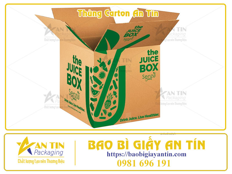 Thùng Carton Đóng Gói Hàng Hóa Giải Pháp Tối Ưu Từ A-Z Cùng Bao Bì Giấy An Tín Thùng Carton Đóng Gói Hàng Hóa Giải Pháp Tối Ưu Từ A-Z Cùng Bao Bì Giấy An Tín